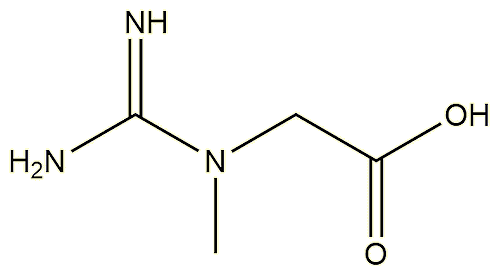 Creatine Molecule